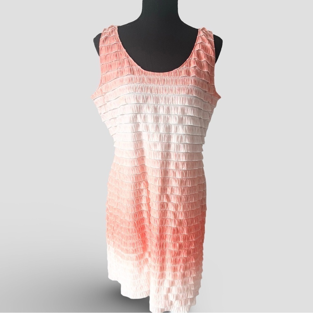 Bianca Nygard Sleeveless Ombre Tiered Ruffled Tunic Mini Dress